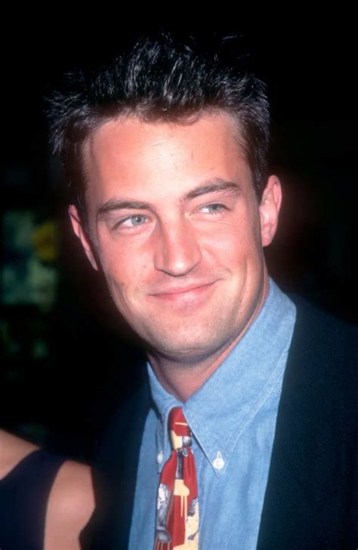 MATTHEW PERRYVARIOUS - 1995