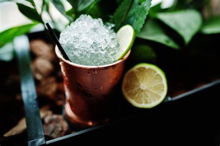 polish-mule