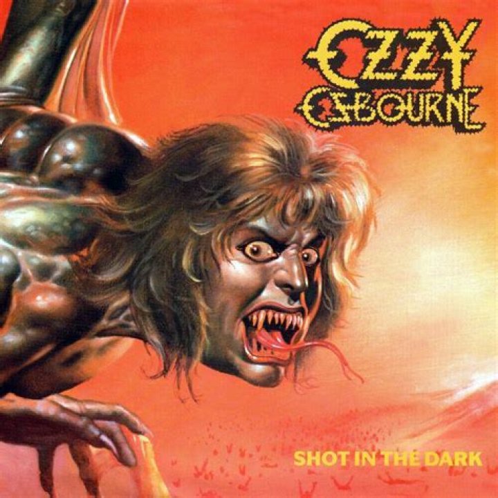 shot-in-the-dark
